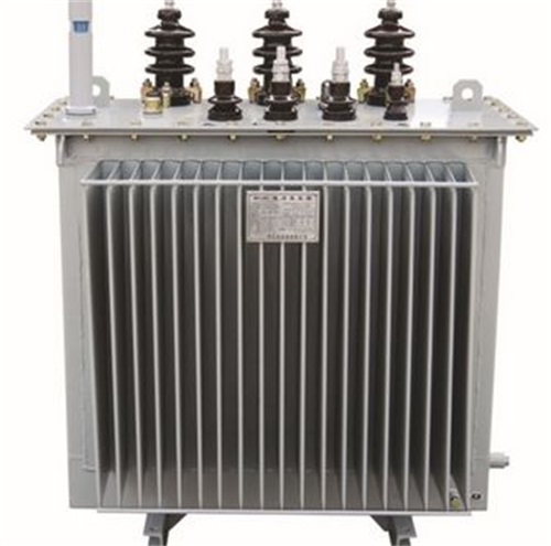 攀枝花S13-1000KVA/35KV/10KV/0.4KV油浸式变压器